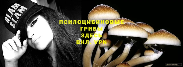 прущий лед Арсеньев
