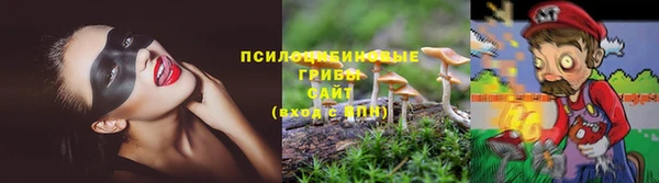 бошки Армянск