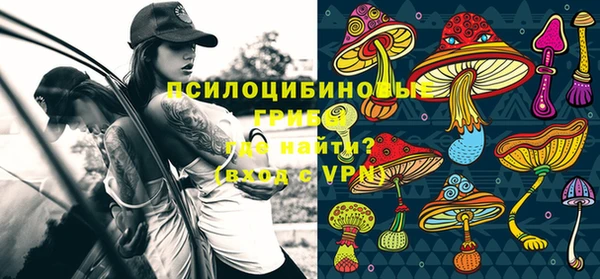 прущий лед Арсеньев